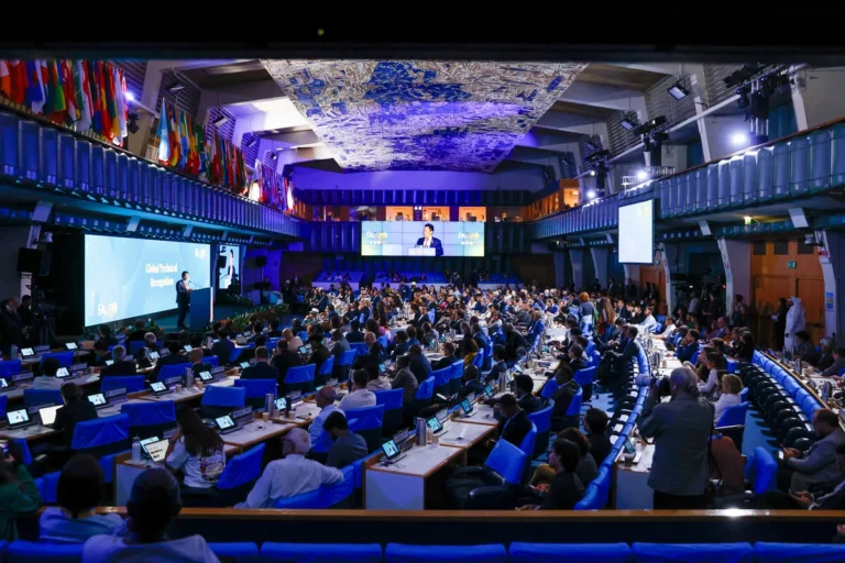 L&rsquo;AIFM, membre fondateur du CMB, reconnue par la FAO parmi les champions mondiaux de la foresterie