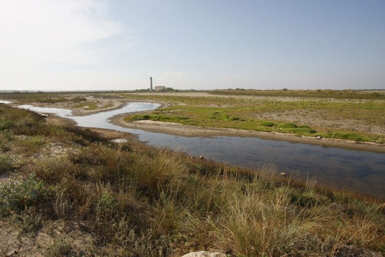 Policy Brief — Scaling-up Nature-based Solutions into practice to enhance the resilience of Mediterranean Coastal Ecosystems and Communities — Key recommendations from a successful Initiative: RESCOM