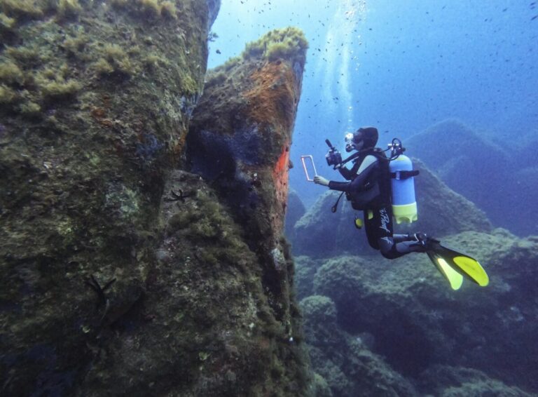 Projet RESCOM : lancement du programme de formation dans l’Aire marine protégée de Capo Carbonara — une nouvelle étape pour la restauration écologique et l’adaptation au changement climatique