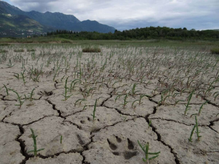 🌿 Comment adapter la gestion des espaces naturels protégés face aux changements climatiques en Méditerranée ?