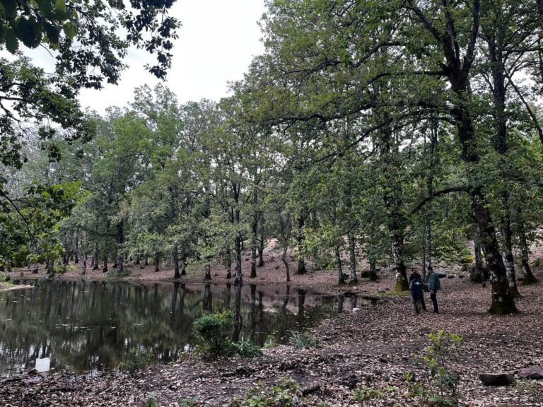 RESCOM Project Launched at Bouhachem Natural Park Site in Morocco