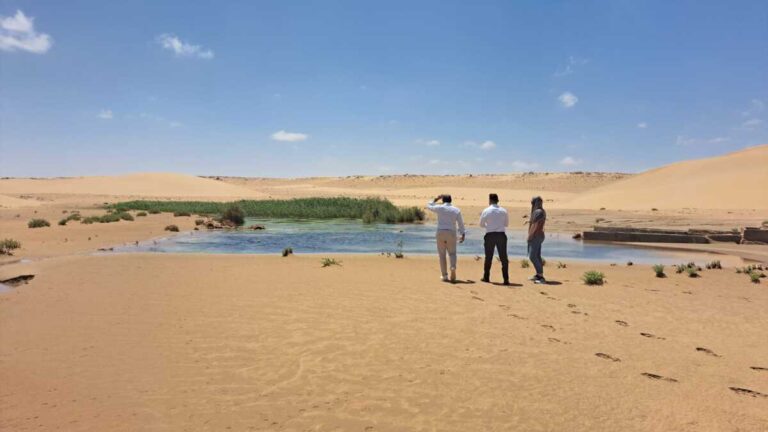 Mission de suivi dans le Parc National de Khenifiss : des avancées concrètes pour le tourisme durable et la préservation de la biodiversité