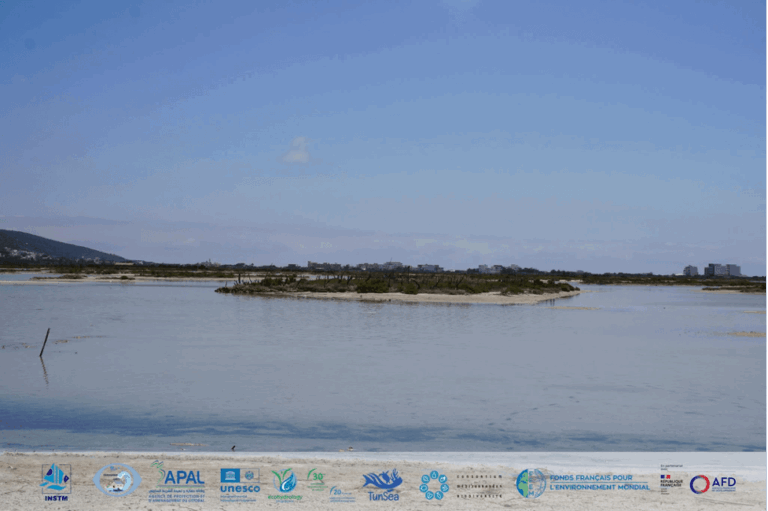 TunSea Restore : restauration, éducation et patrimoine sur les rives de Ghar el Melh, en Tunisie